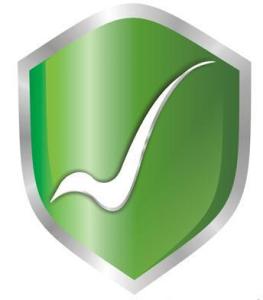 互聯網藥品信息服務管理辦法 規范網絡平臺，保障公眾用藥安全