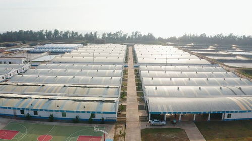 年銷售額達(dá)1.2億元，海威科技以創(chuàng)新引擎驅(qū)動(dòng)水產(chǎn)種業(yè)振興